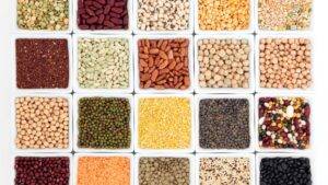 pulses for food