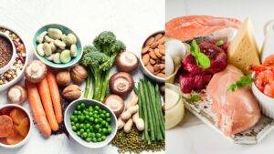 Balanced eating includes both plant and animal foods